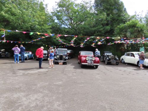 A general view of some of the classic cars